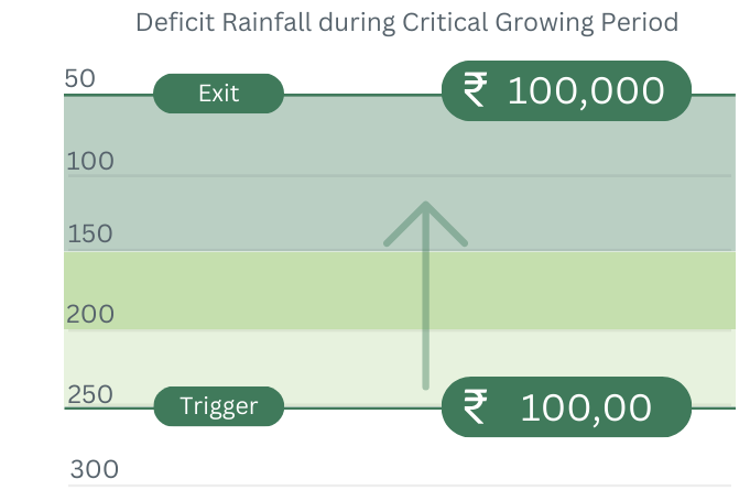 Payout Visualization
