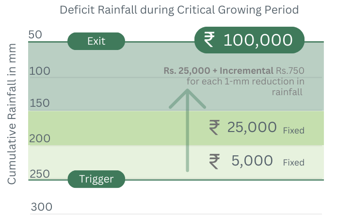 Payout Visualization