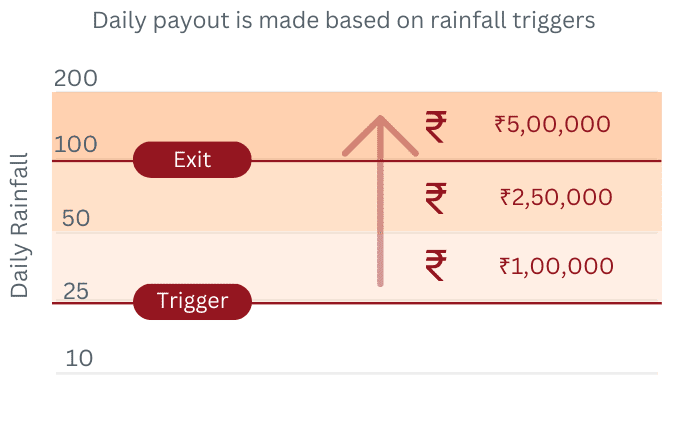 Payout Visualization