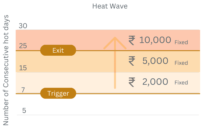 Payout Visualization