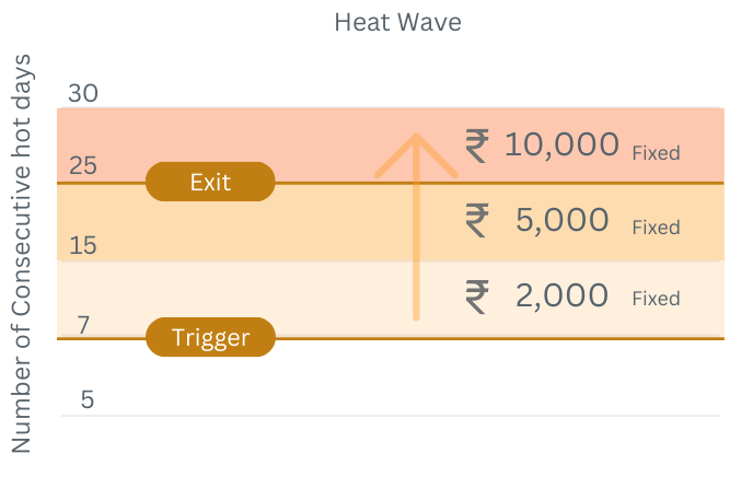 Payout Visualization