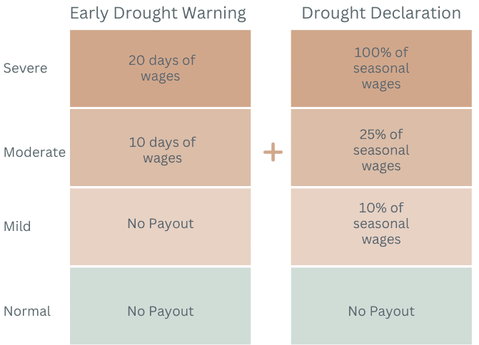 Payout Visualization