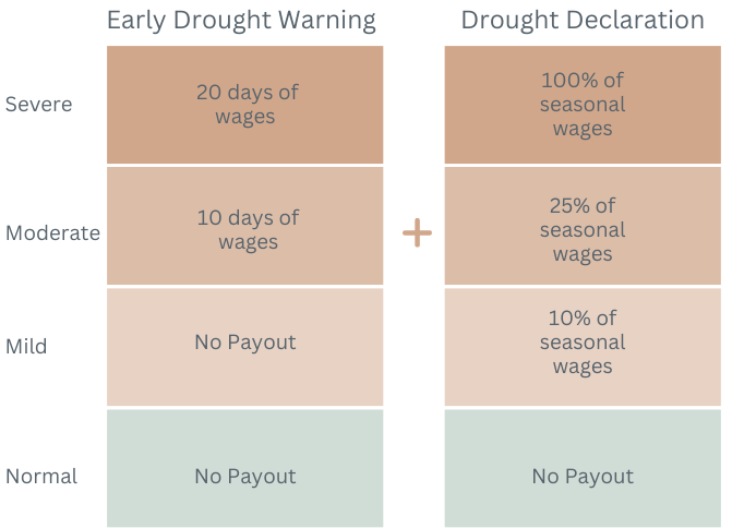 Payout Visualization