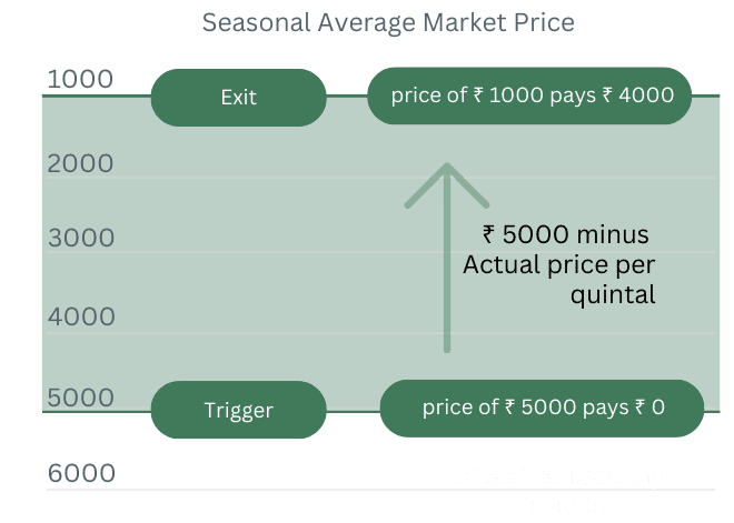 Payout Visualization