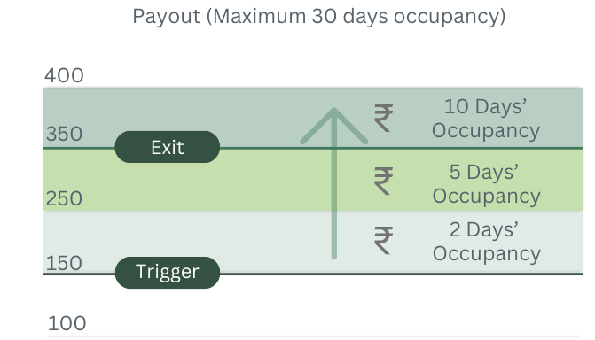 Payout Visualization