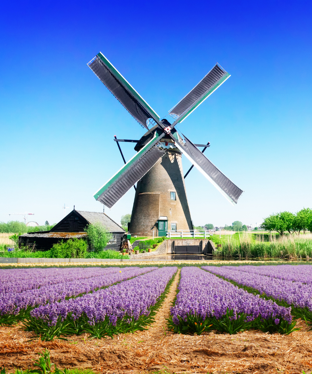 Wind Energy Productivity